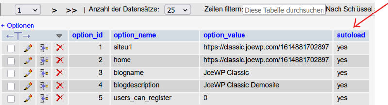 wp options 02d WP Agentur
