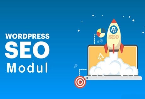 WordPress SEO Modul 1 JoeWP WordPress Agentur - WordPress SEO Modul